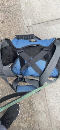 Dog Lift and Mobility Support Harness review 0