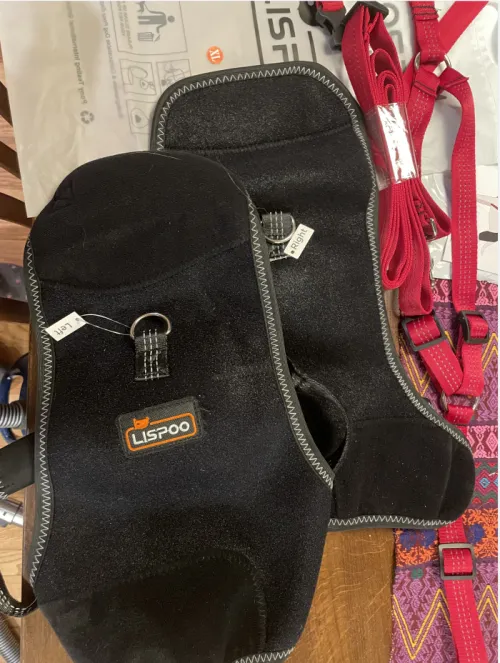 LISPOO Dog Hip Brace with Handle review 