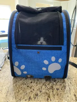 Portable Pet Backpack for Cats, Dogs and Small Animals review Neil Frances