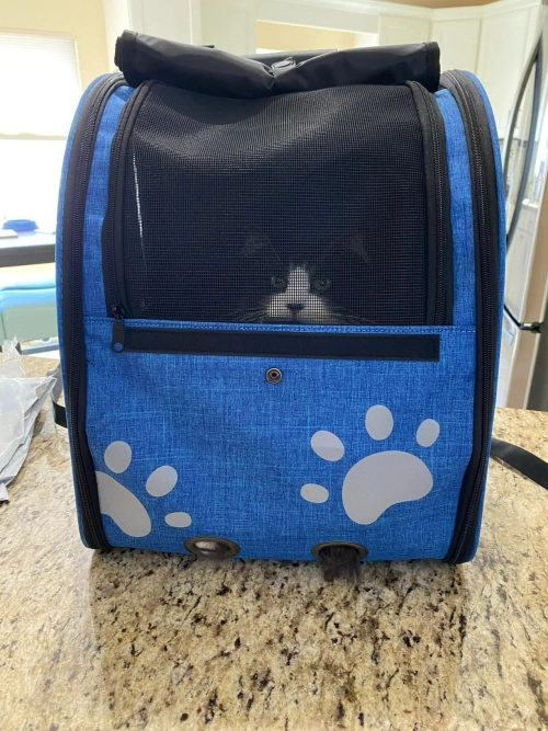 Portable Pet Backpack for Cats, Dogs and Small Animals review 