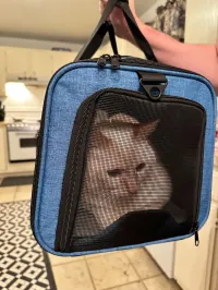 Tsa Approved In-Cabin Pet Carrier review 0
