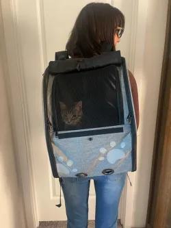 Portable Pet Backpack for Cats, Dogs and Small Animals review Dana Lindsay