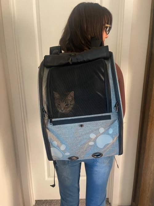 Portable Pet Backpack for Cats, Dogs and Small Animals review 