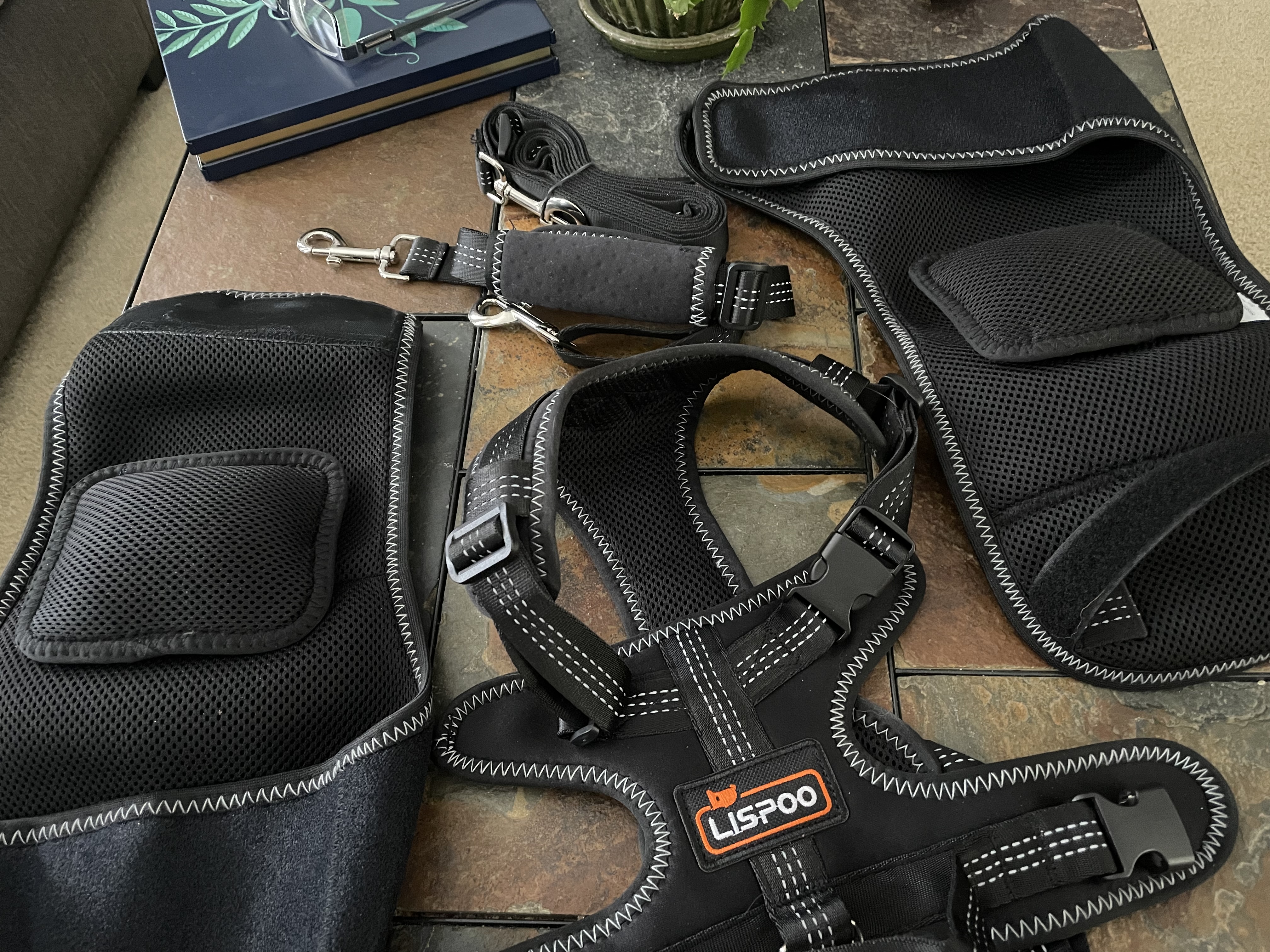 LISPOO Dog Hip Dysplasia Brace with Handle review 0
