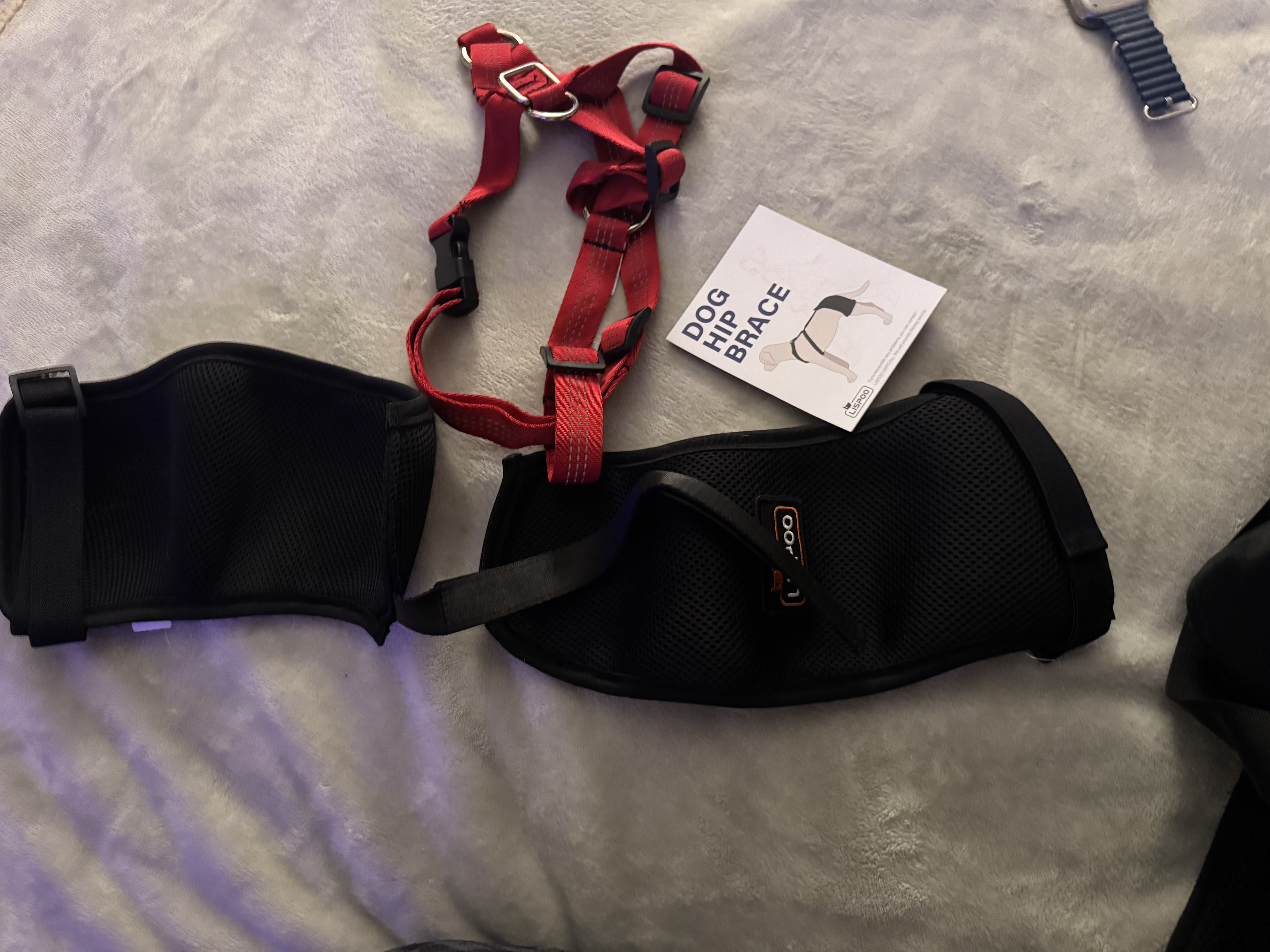 LISPOO Labrador Dog Hip Brace review Vanessa Duncan