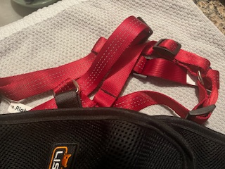 LISPOO Dog Hip Brace for Hip Dysplasia review Nicola Gunter