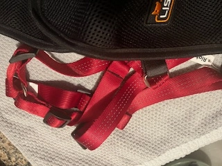 LISPOO Dog Hip Brace for Hip Dysplasia review 