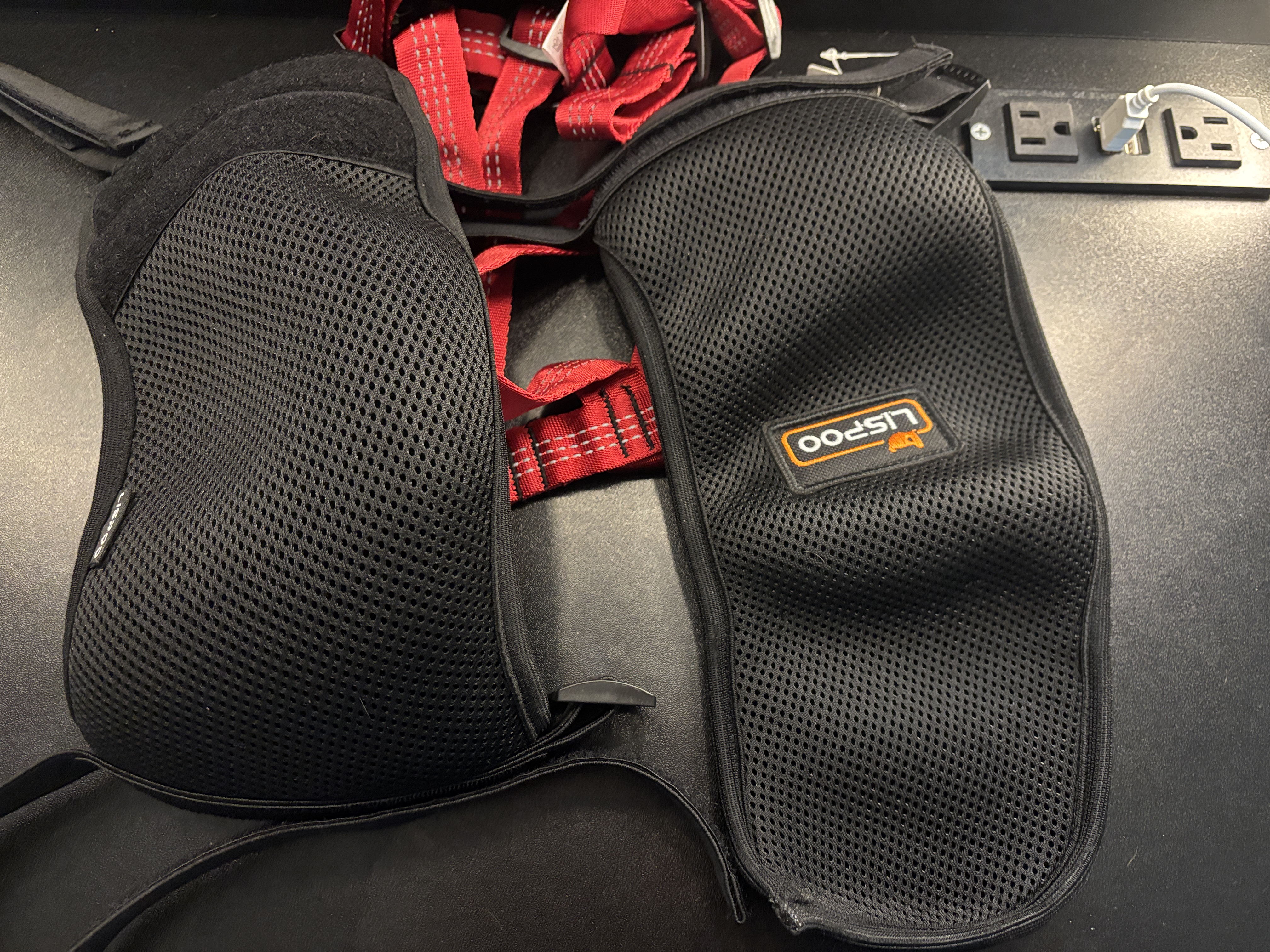 LISPOO Dog Hip Brace for Hip Dysplasia review Fanny Zangwill