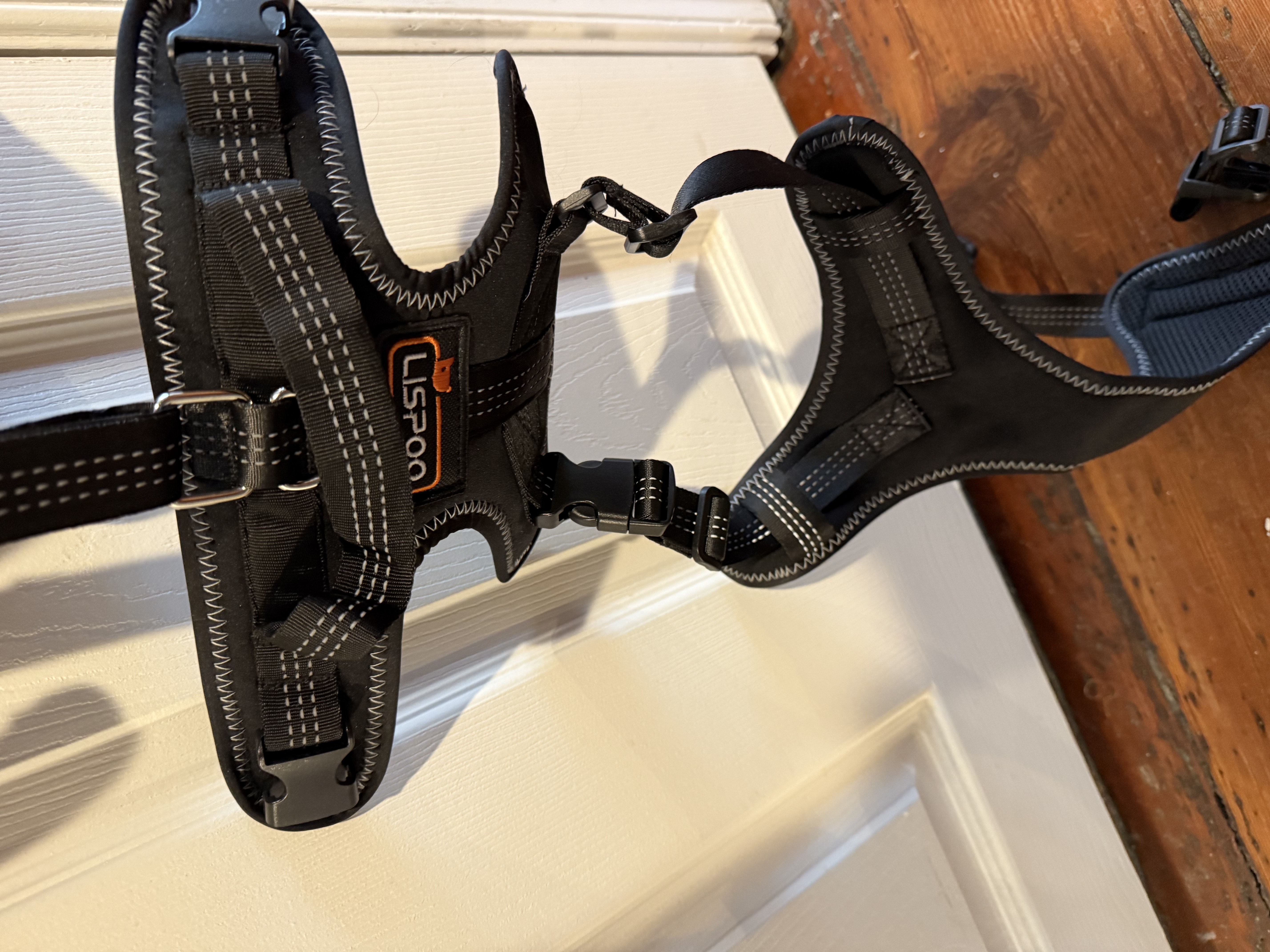 LISPOO Dog Hip Dysplasia Brace with Handle review Jodie Dupont 01