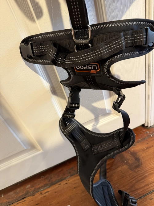 LISPOO Dog Hip Dysplasia Brace with Handle review 