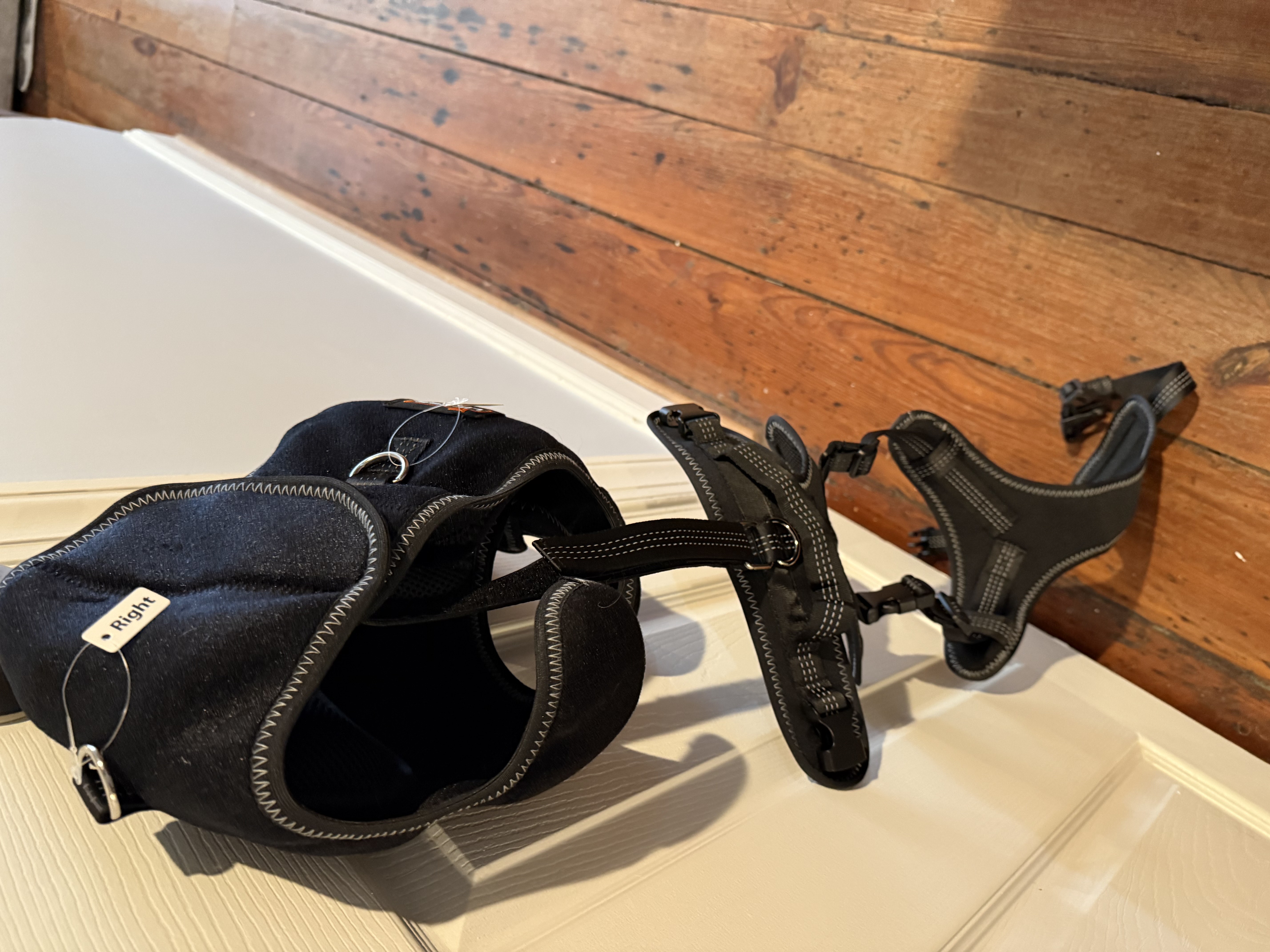 LISPOO Dog Hip Dysplasia Brace with Handle review Jodie Dupont 02