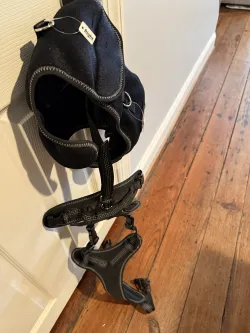 LISPOO Dog Hip Dysplasia Brace with Handle review Jodie Dupont 02
