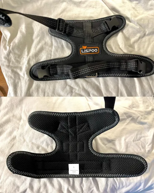 LISPOO Dog Hip Dysplasia Brace with Handle review 