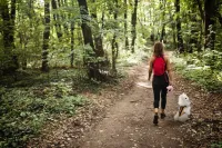 Field Protection Vest for Small and Medium Dogs review 0