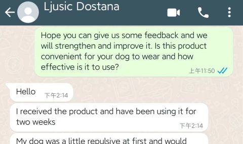 Dog Hind Leg Cruciate Ligament ACL Injury Joint Sprain Fixed Dog Hind Leg Reflective Knee Braces