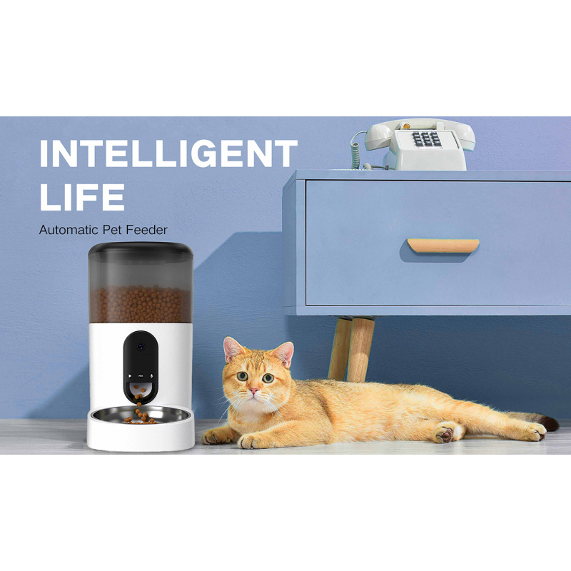 How To Choose The Best Automatic Cat Feeder?