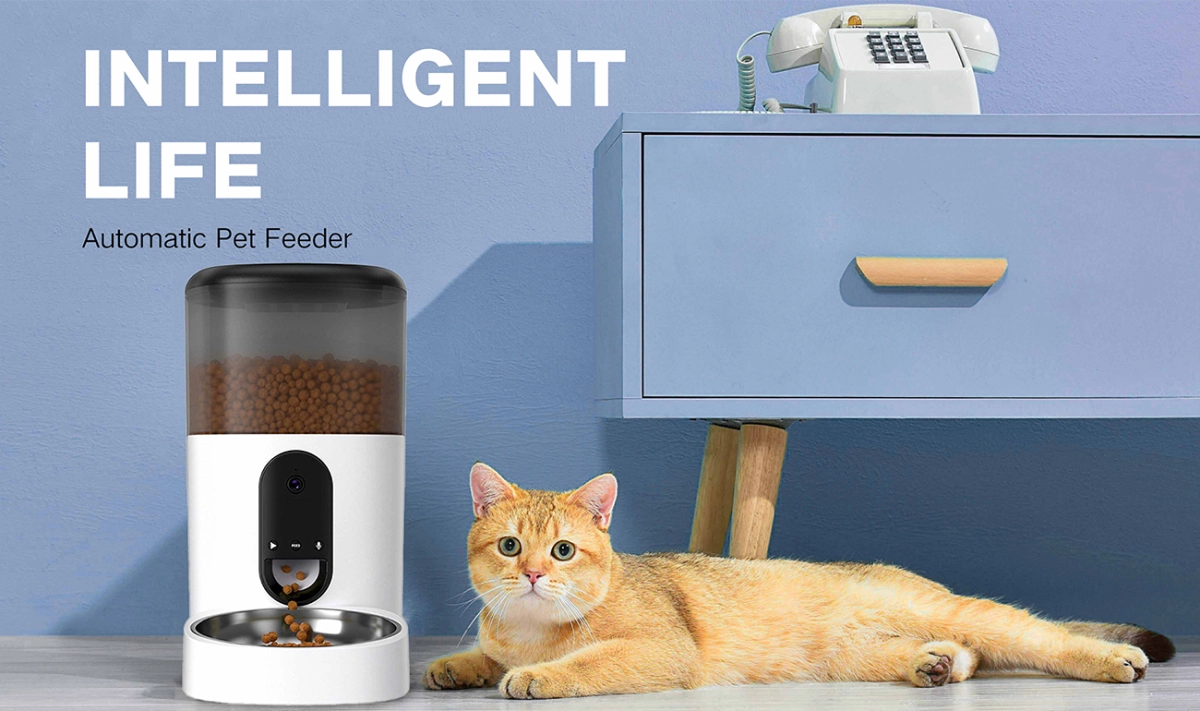 How To Choose The Best Automatic Cat Feeder?