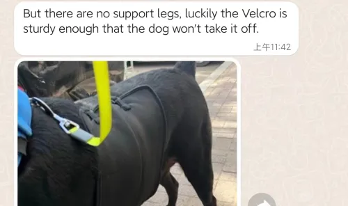 Dog Knee Wraps For Anti-licking Biting Dog Leg Sleeve