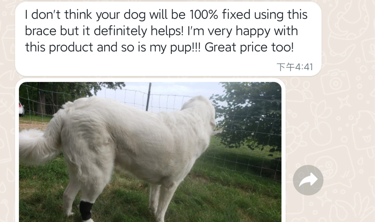 DOGLEMI Dog Leg Brace For Hock joint Dog Ankle Brace