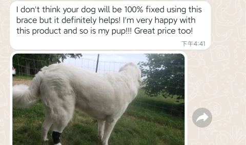 DOGLEMI Dog Leg Brace For Hock joint Dog Ankle Brace