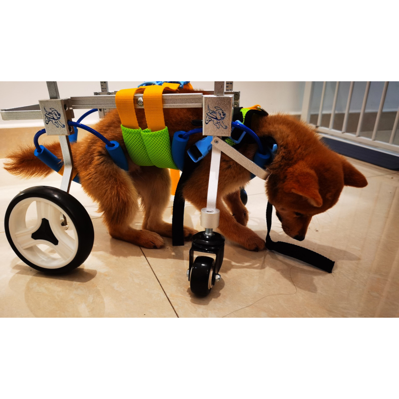 Dog Wheelchairs for Dog Leg Paralyzed Weakness