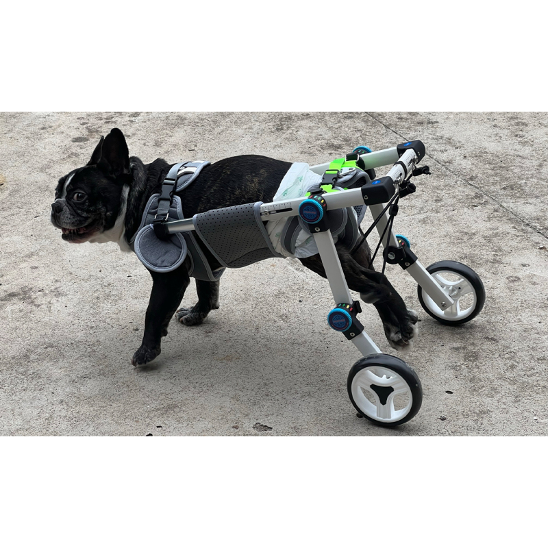 Fordable Dog Wheelchairs For Dog Back Leg