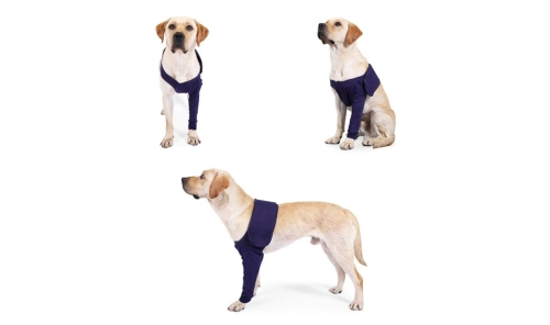 Why we love this Dog Leg Sleeves