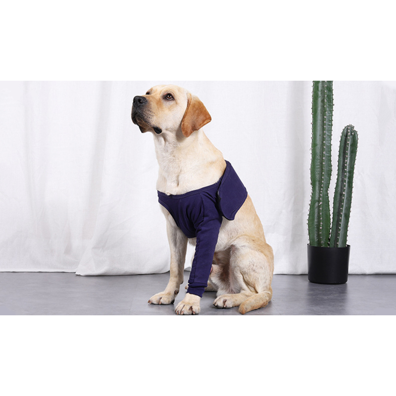 Leg Sleeves For (older) Dogs