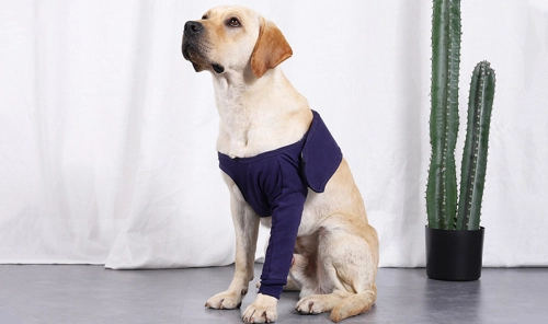 Leg Sleeves For (older) Dogs