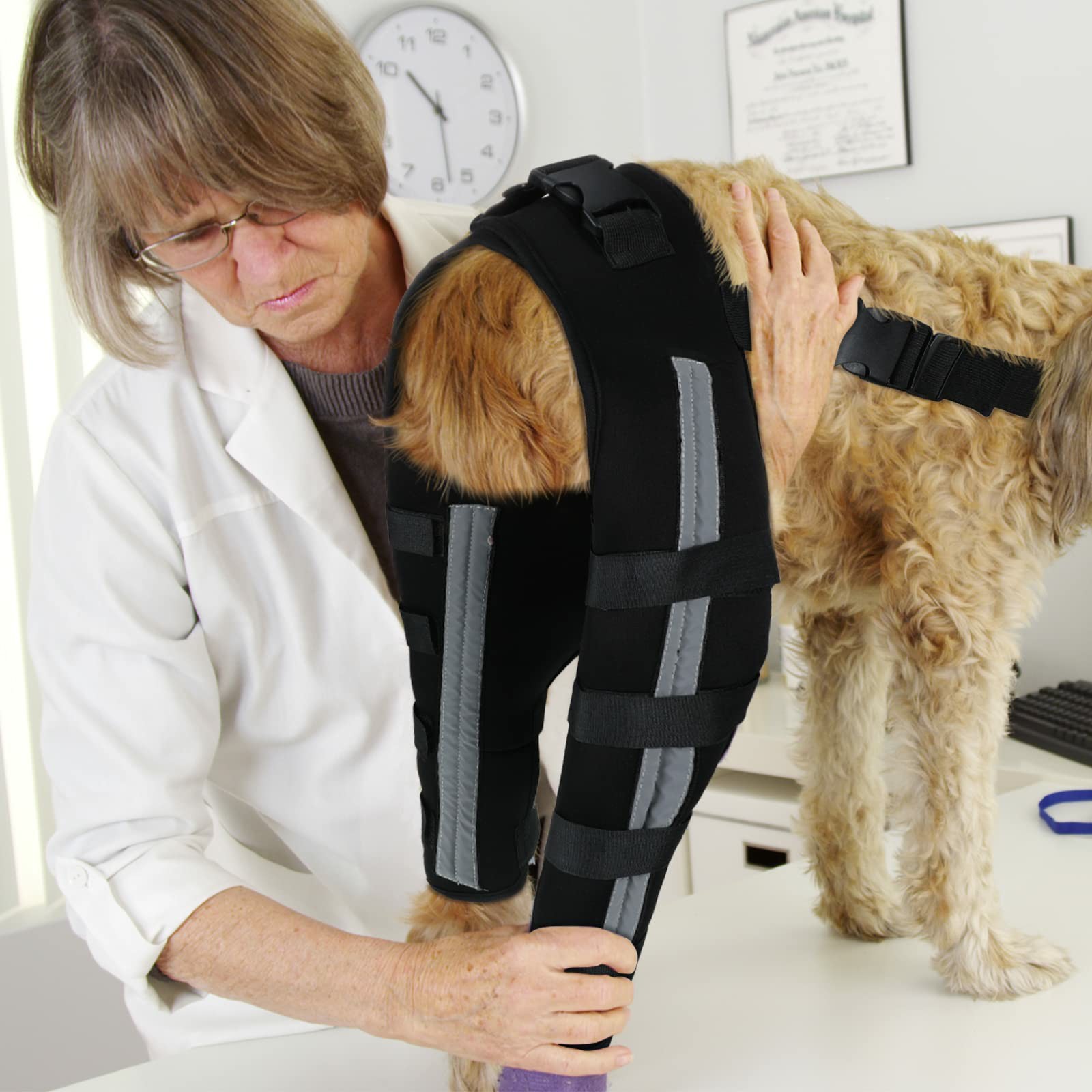 Knee Braces for Dogs
