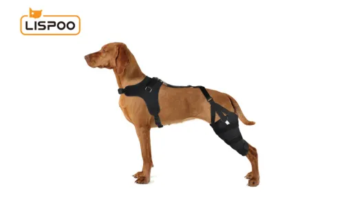 The Ultimate Guide to Choosing the Best Dog Knee Support Brace with a Torn ACL