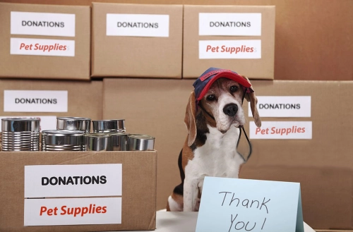 Fur-Ever Heroes: Celebrating the Impact of Pet Gear Donations