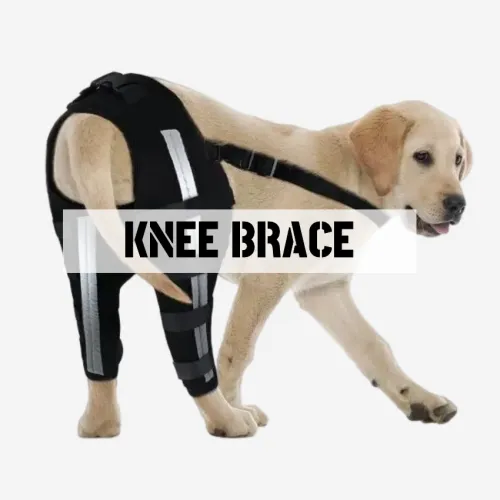 Best Dog Knee & Leg Brace For Torn ACL CCL | LOVEPLUSPET