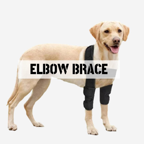 Best Dog Elbow & Shoulder Brace For Sale | LOVEPLUSPET
