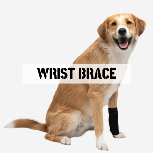 Best Dog Wrist Brace For Sale | LOVEPLUSPET