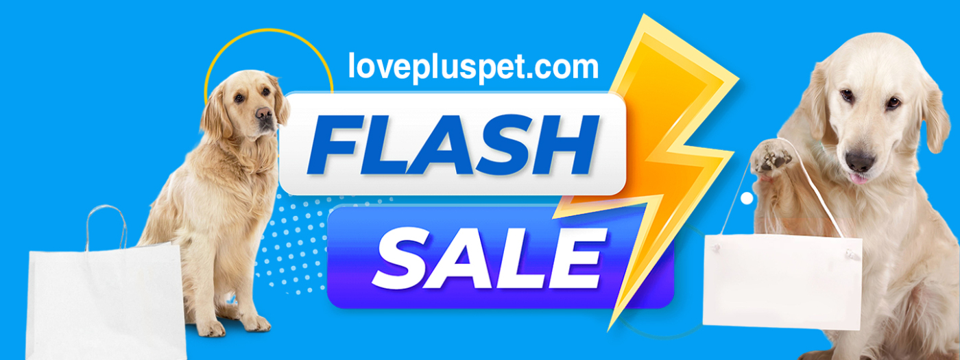 flash sale