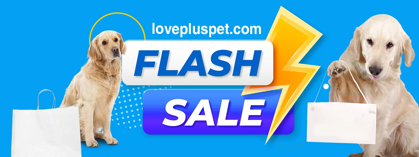 flash sale image