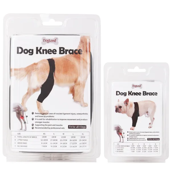 Best Dog Knee & Leg Brace For Torn ACL For Sale | LOVEPLUSPET