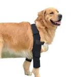 Best Dog Elbow Dysplasia Brace | Dog Elbow Support For Sale | LOVEPLUSPET