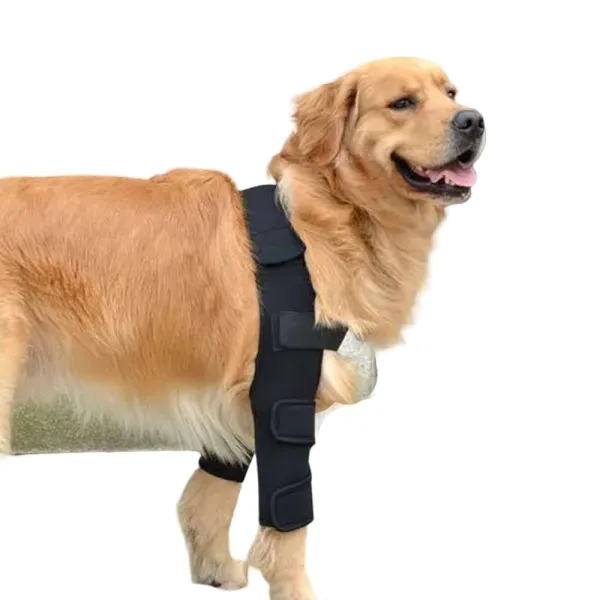 Best Dog Elbow Dysplasia Brace | Dog Elbow Support For Sale | LOVEPLUSPET