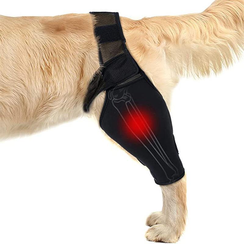 Best Dog Knee & Leg Brace For Torn ACL For Sale LOVEPLUSPET