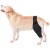 [test] Dog Knee Brace For Torn Acl