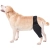 [test] Dog Knee Brace For Torn Acl