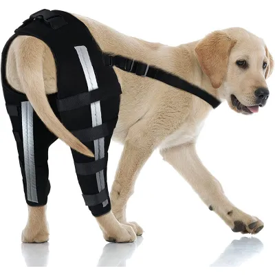 Best Dog Brace For ACL Tear | Dog Cruciate Ligament Brace For Sale | LOVEPLUSPET