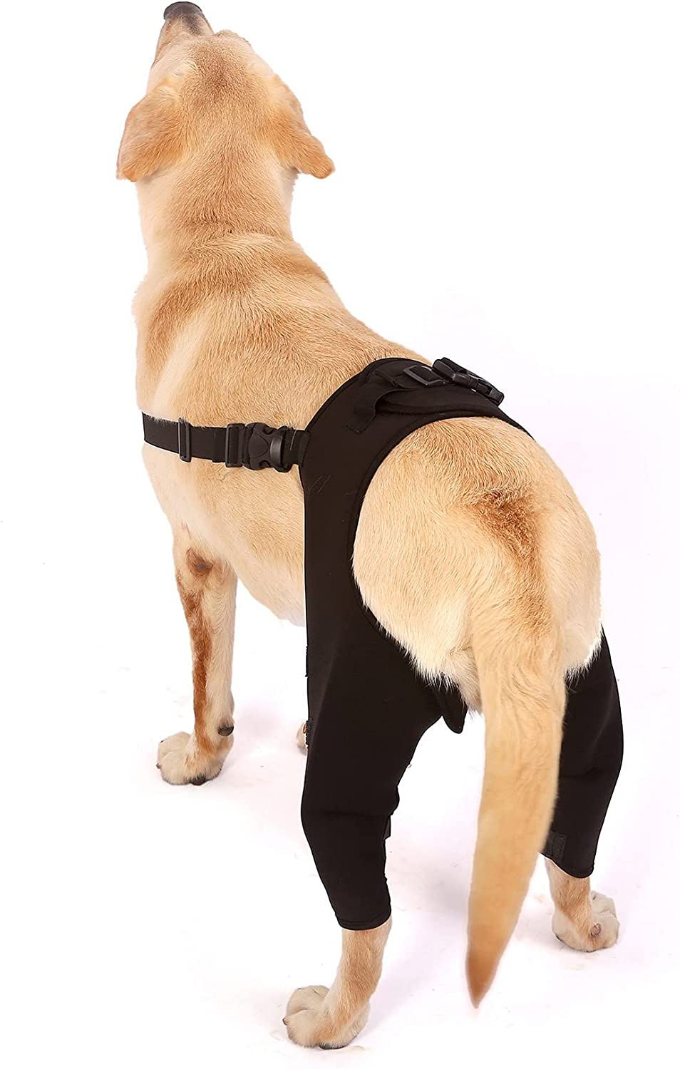 best-double-knee-brace-for-dogs-hind-legs-for-sale-lovepluspet