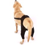 Best Double Knee Brace For Dogs Hind Legs For Sale | LOVEPLUSPET