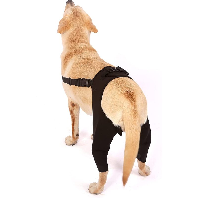Best Double Knee Brace For Dogs Hind Legs For Sale | LOVEPLUSPET