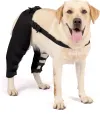 Dog Double Leg Brace
