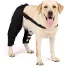 Best Double Knee Brace For Dogs Hind Legs For Sale | LOVEPLUSPET