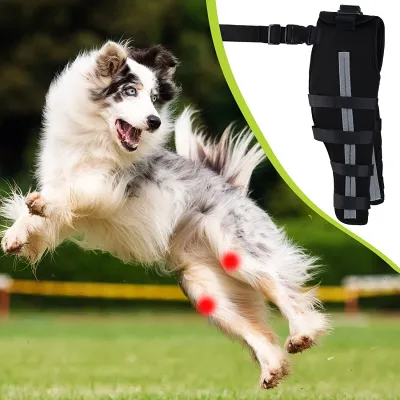 Best Dog Brace For ACL Tear | Dog Cruciate Ligament Brace For Sale | LOVEPLUSPET